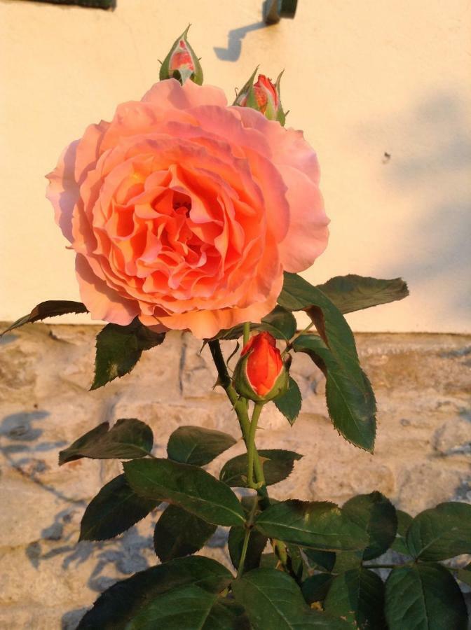 Fiesole In Giardino B&B ภายนอก รูปภาพ