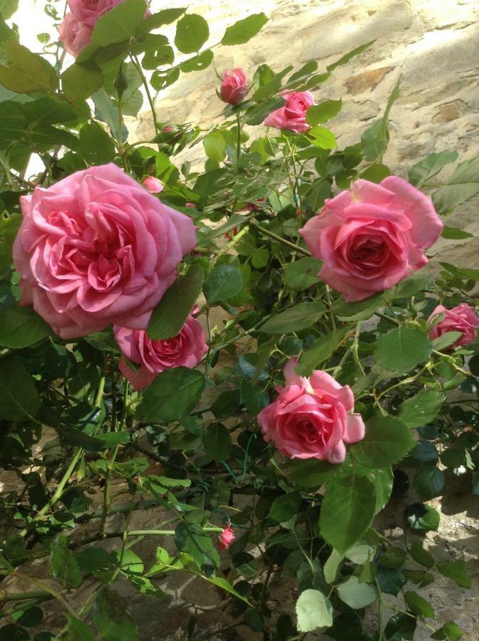 Fiesole In Giardino B&B ภายนอก รูปภาพ
