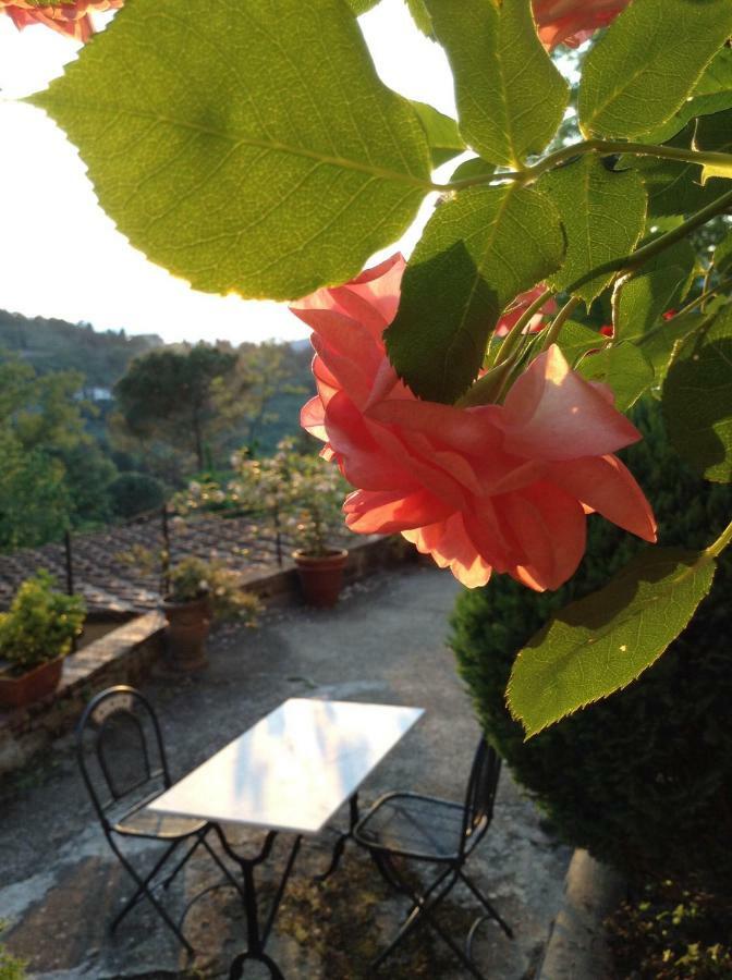 Fiesole In Giardino B&B ภายนอก รูปภาพ